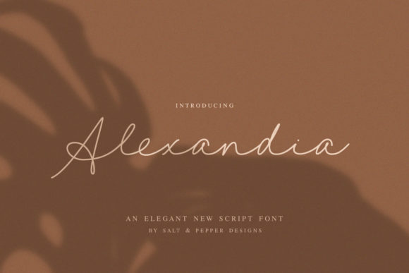 Alexandia Font: A Handwritten Typeface for Branding