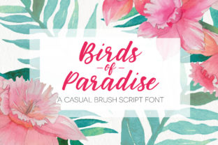 Birds of Paradies Font Review: A Casual Script for Branding