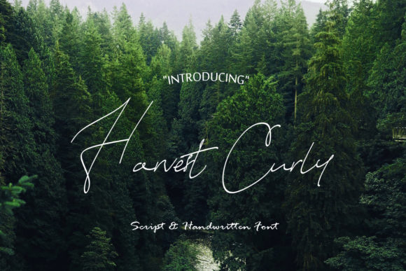 Harvest Curly Font: Adding Warmth to Brand Identity
