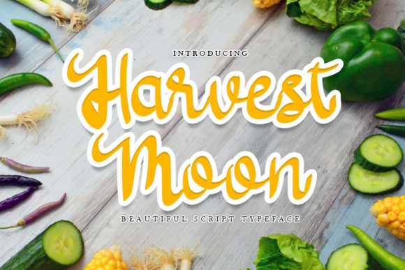Harvest Moon Font: A Web Designer’s Layout Review